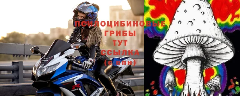 Галлюциногенные грибы Magic Shrooms  где найти наркотики  гидра зеркало  Шуя 